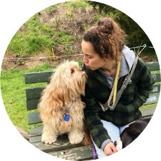 Knowledgeable dog walkers