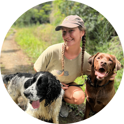 Em dog walker Auckland